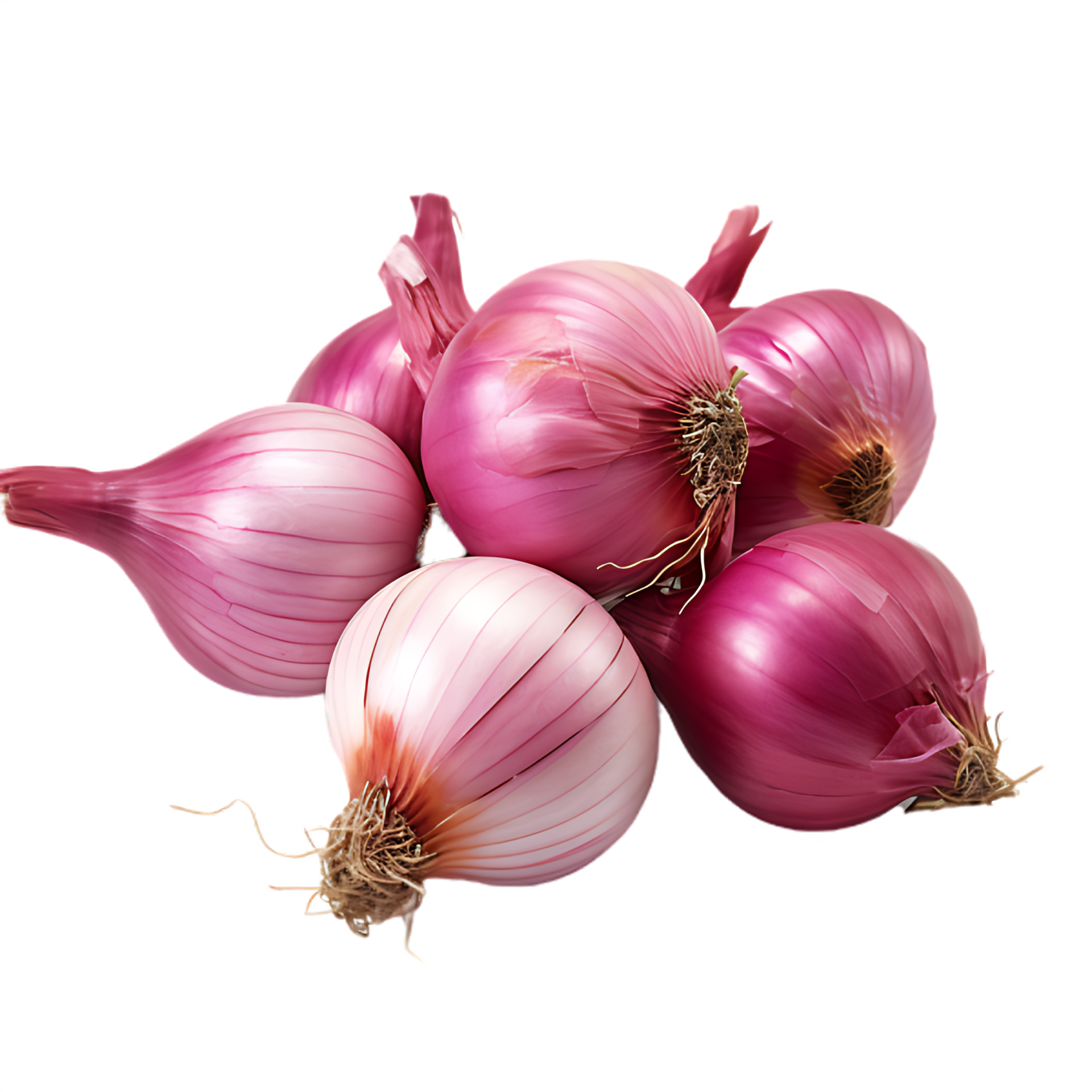 isolated fresh shallot 28830647 PNG