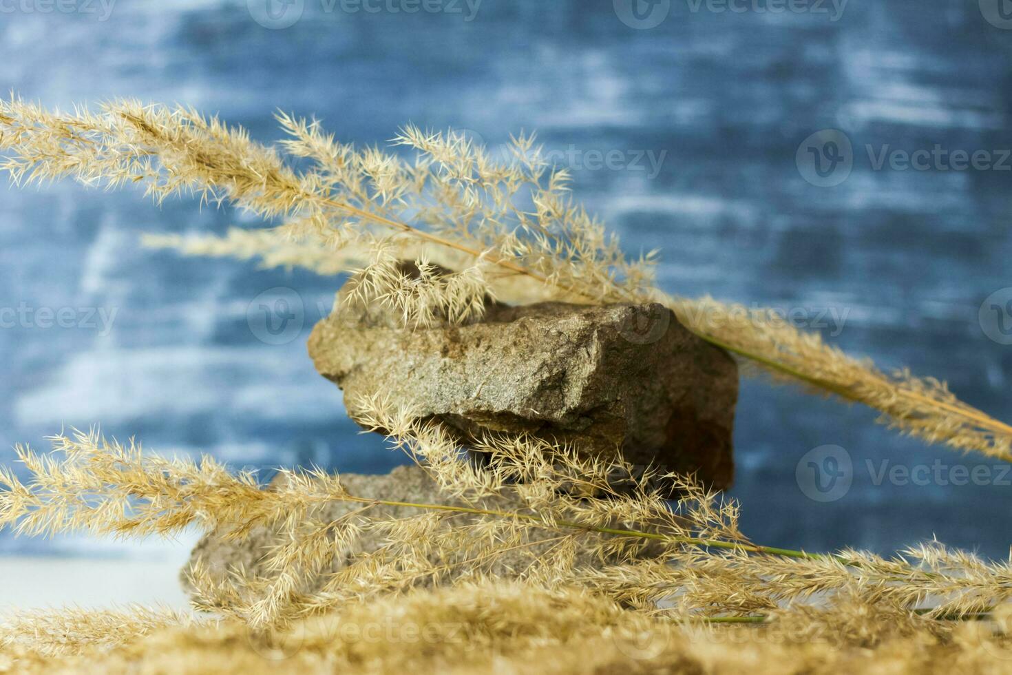 A stylish background for advertising products with fluffy dry stems and stones. Stylish appearance, layout, personality. Banner, a place for the text. photo