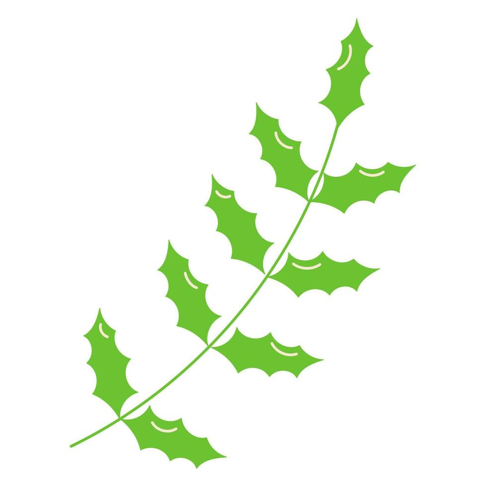 holly christmas branches leaves berries fruit icon vector