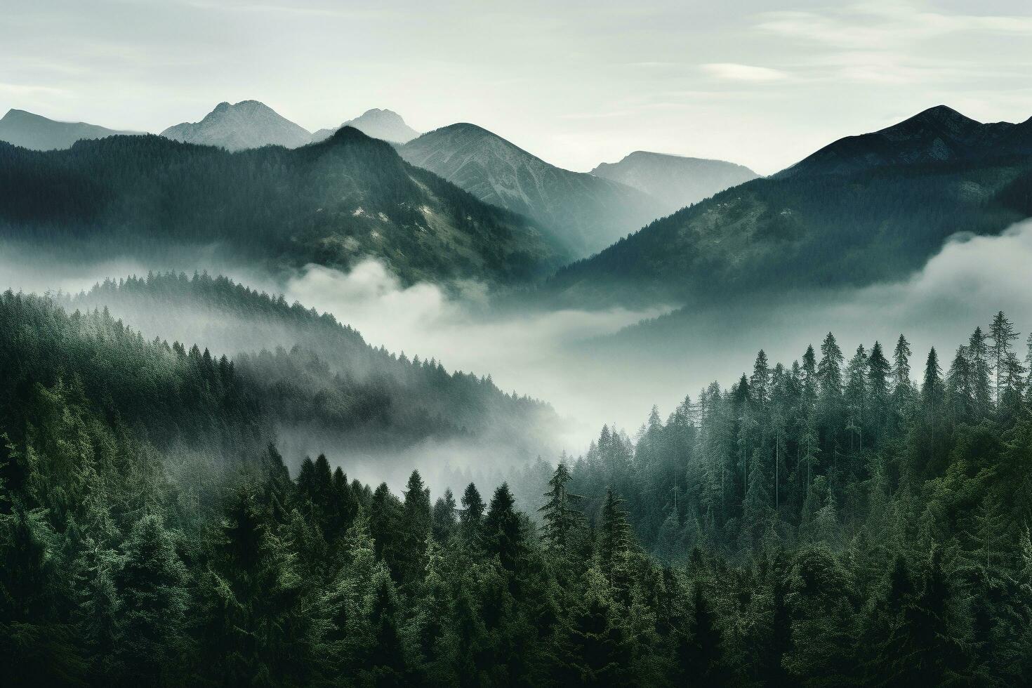 A mountains forest filled with lots of trees covered in fog, wallpaper, Generative AI photo