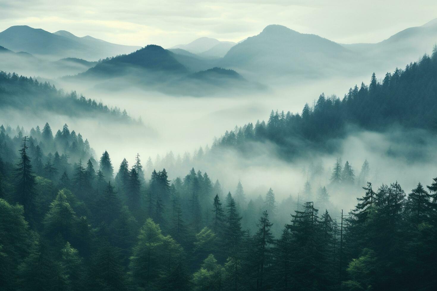 A mountains forest filled with lots of trees covered in fog, wallpaper, Generative AI photo