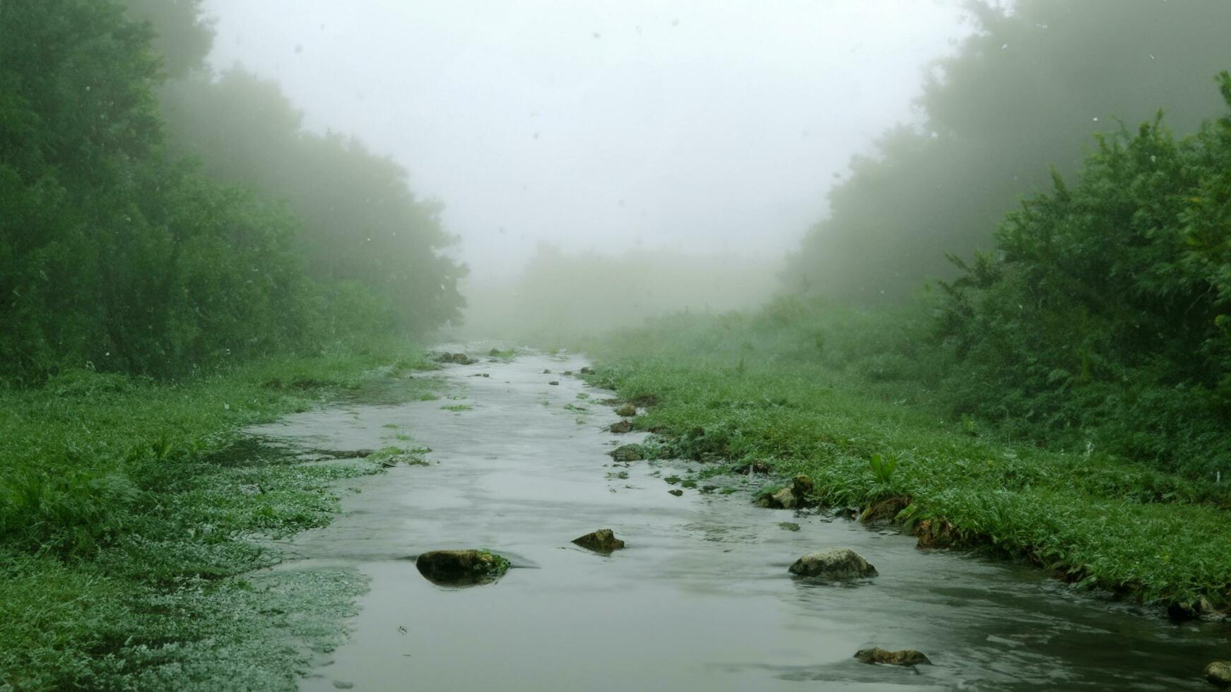 water stream in nature river in rainy season and cold mist 3d illustration photo