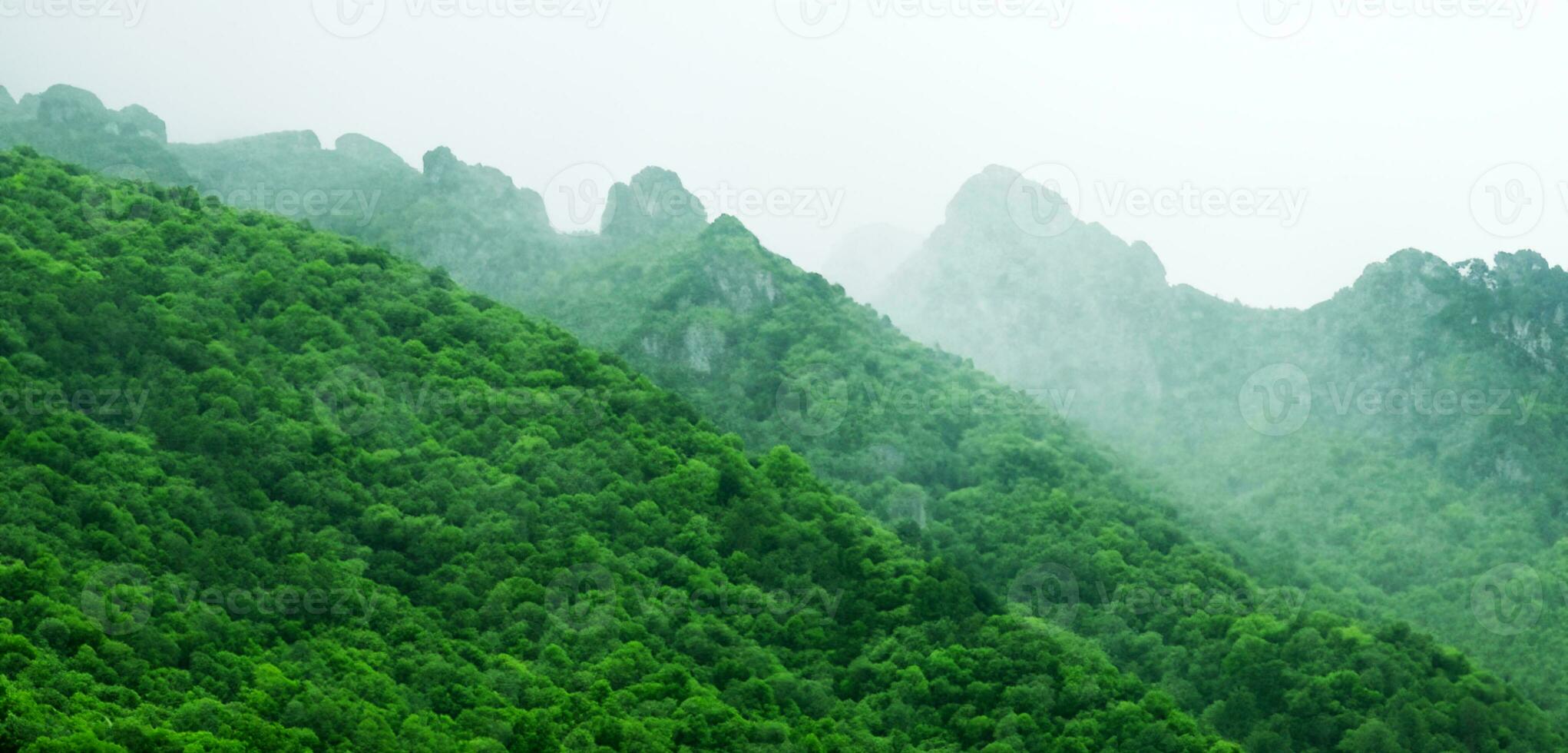 green mountains in fog panoramic nature view Mountain scenery and cold fog in the morning 3D illustration photo