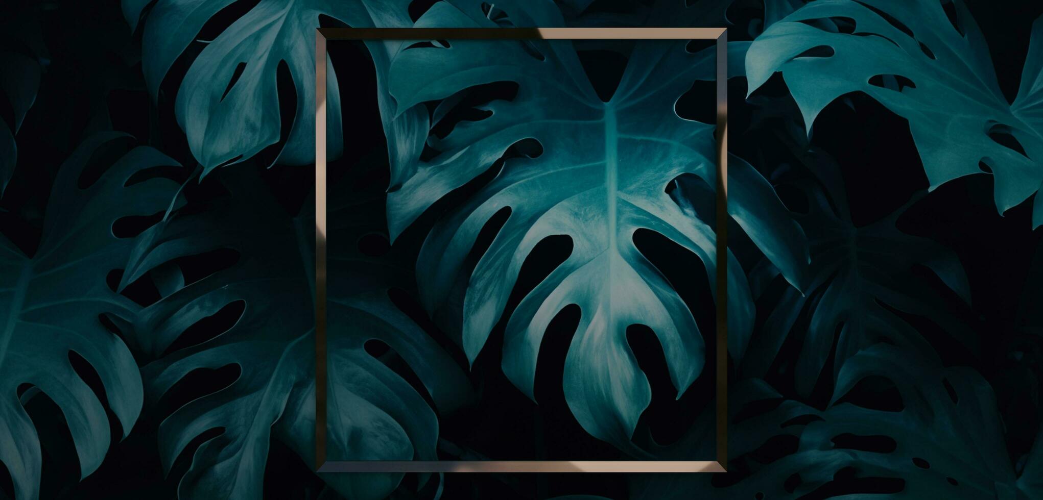 Frame and leaves Spathiphyllum cannifolium concept Green abstract texture with frame nature background tropical leaves in asia and thailand 3D illustration photo