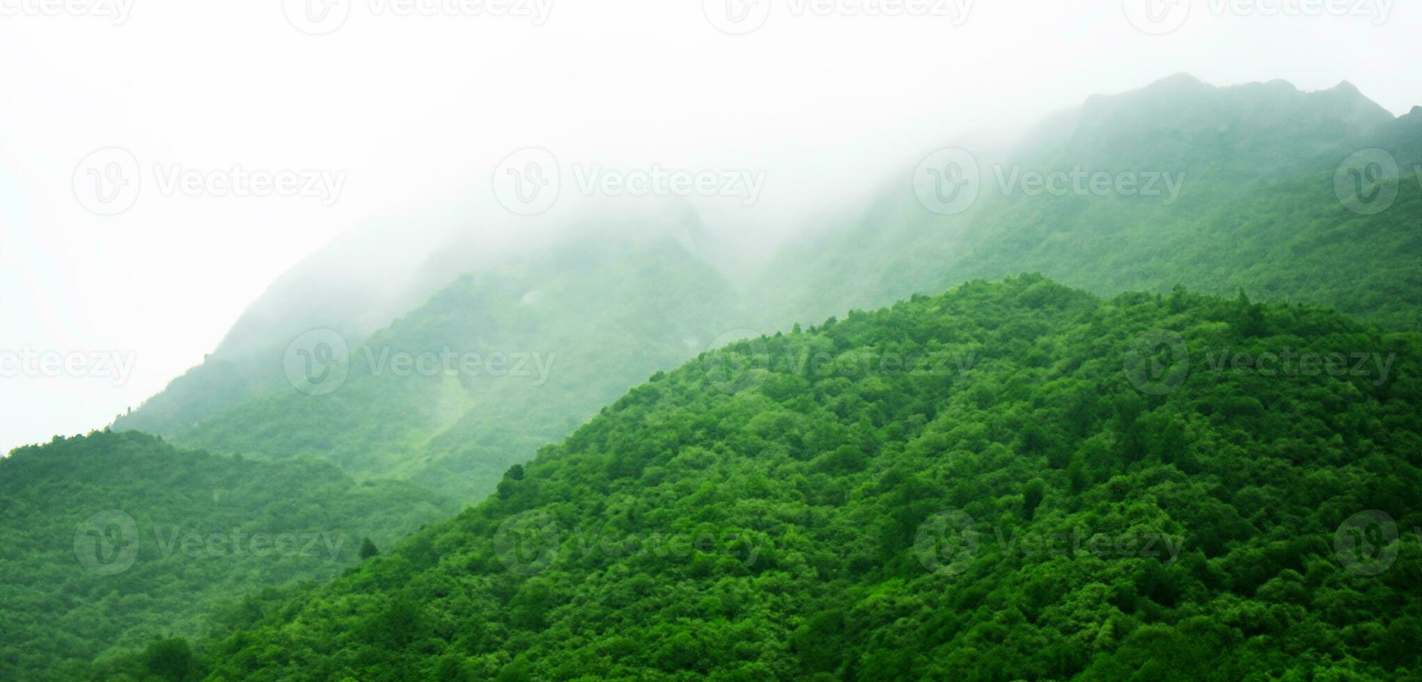 green mountains in fog panoramic nature view Mountain scenery and cold fog in the morning 3D illustration photo