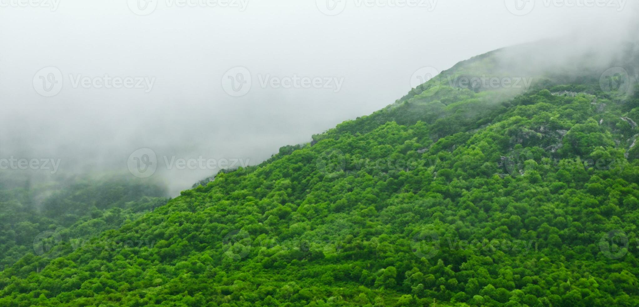 green mountains in fog panoramic nature view Mountain scenery and cold fog in the morning 3D illustration photo