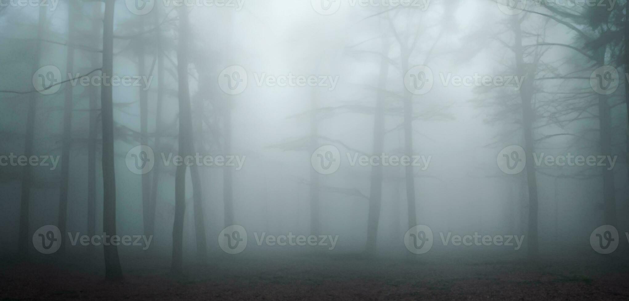 The pine forest was full of smoke scary mystery Big tree surrounded by fog in winter 3D illustration photo