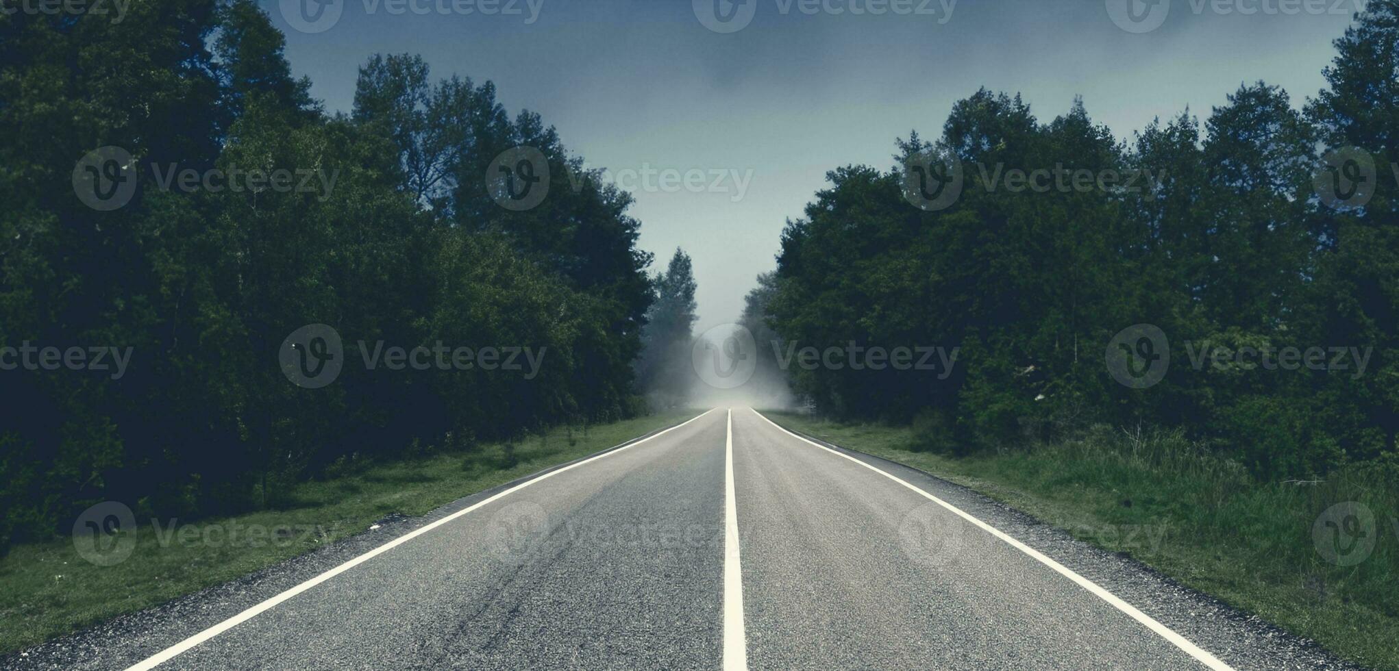 Country road, long road to the horizon The side of the road is full of trees photo