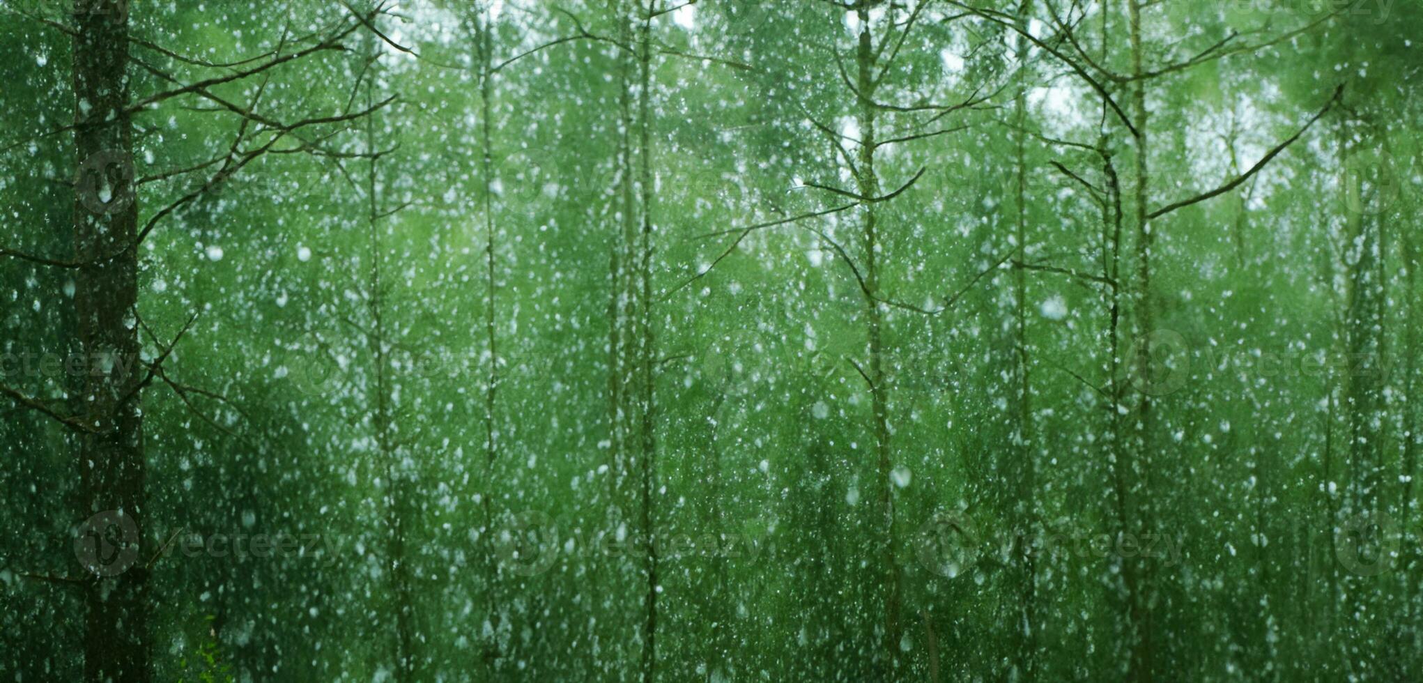 lluvia en el pino bosque pesado niebla lozano paisaje en el lluvioso temporada 3d ilustración foto