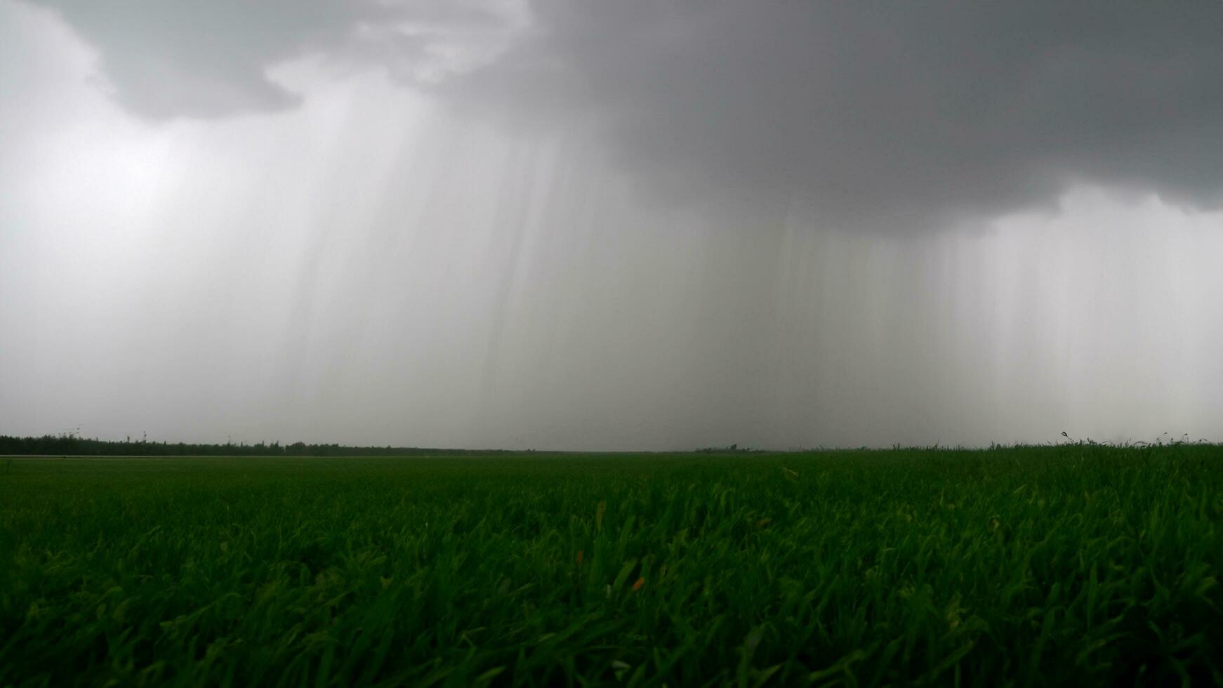 Rain clouds and black sky textured background Panoramic shot of rain clouds in the distance rain from the sky Black cloud and thunder storm Dark sky and motion clouds before rainy 3d illustration photo