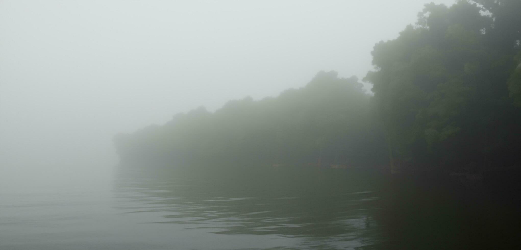 background by the water water in a mysterious and scary forest Smog in the forest dark tones a lazy river in a fantasy forest photo