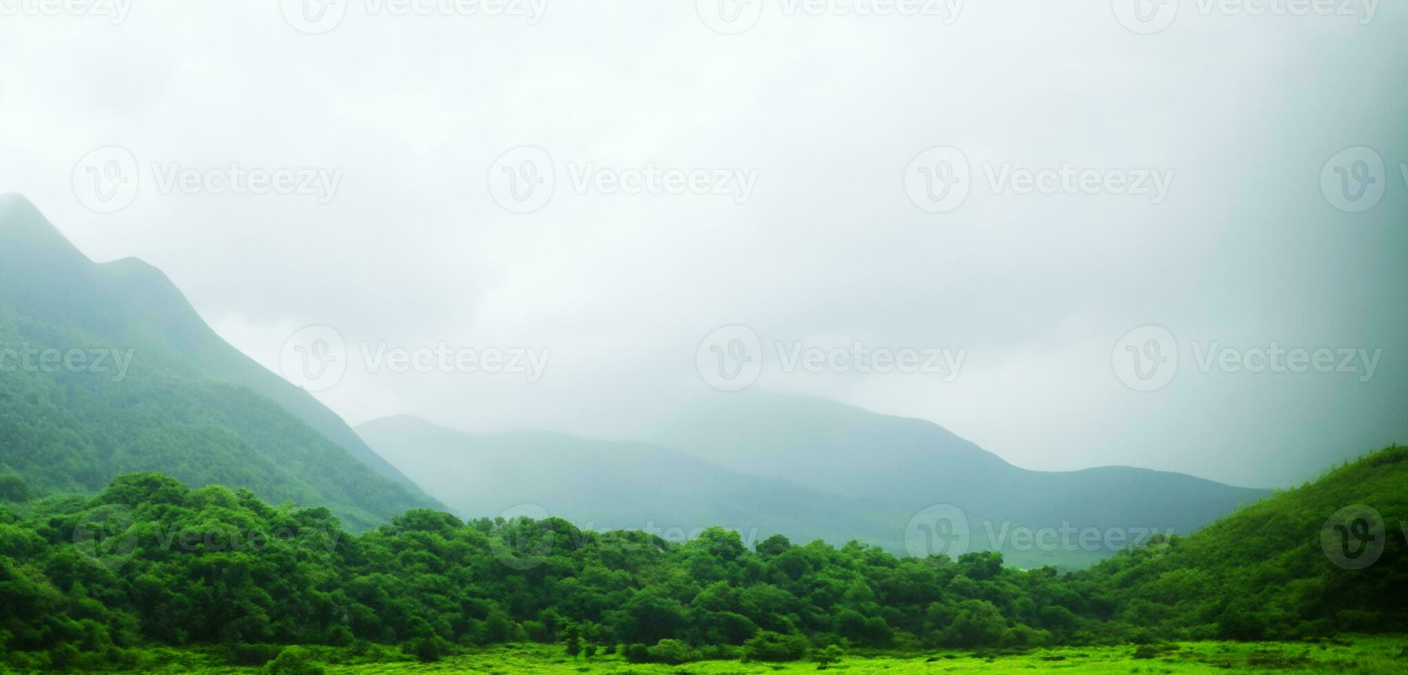 green mountains in fog panoramic nature view Mountain scenery and cold fog in the morning 3D illustration photo