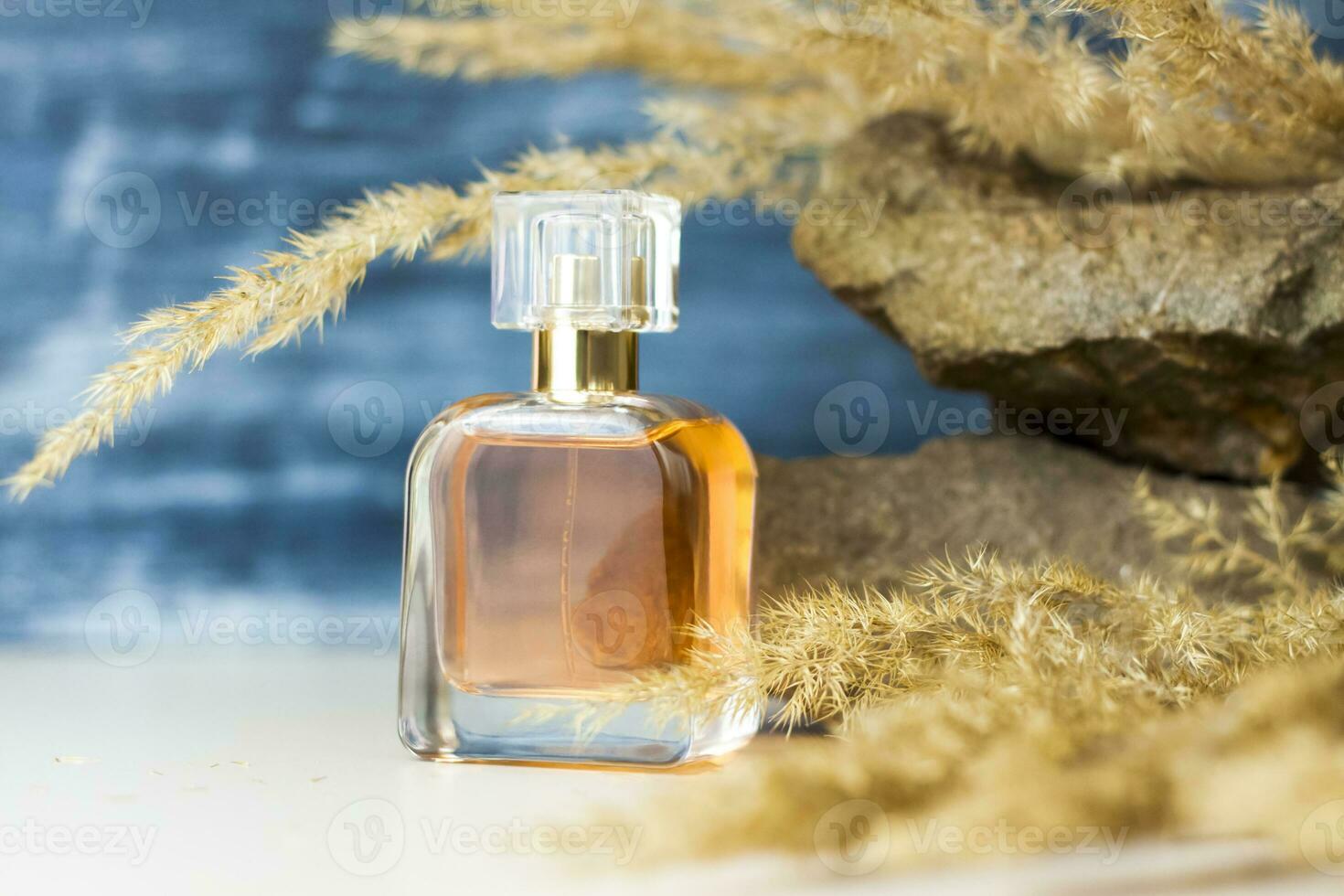 A perfume bottle on a background of Pampas grass on a colored background and a stone. a fluffy twig. Stylish appearance, layout, personality. Banner, a place for the text. photo