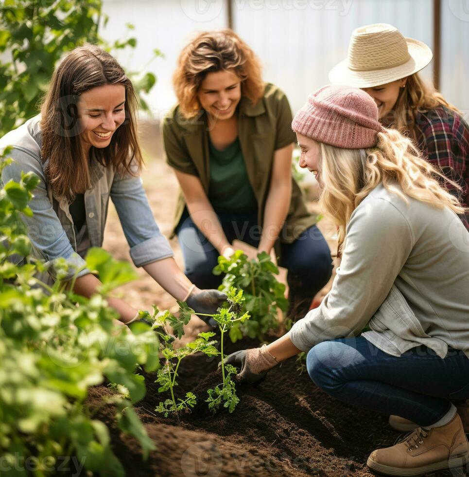 A group of friends are planting a tree in their community garden, nature stock photo