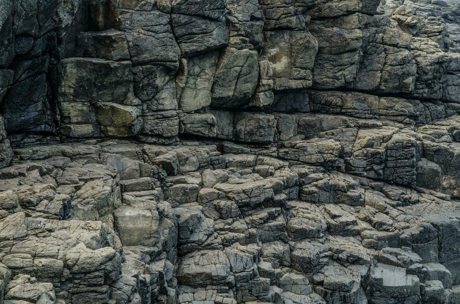 Grey coastal rock wall, Sedimentary rocks formed by the accumulation or deposition of mineral or organic particles at Earth's surface pattern. photo