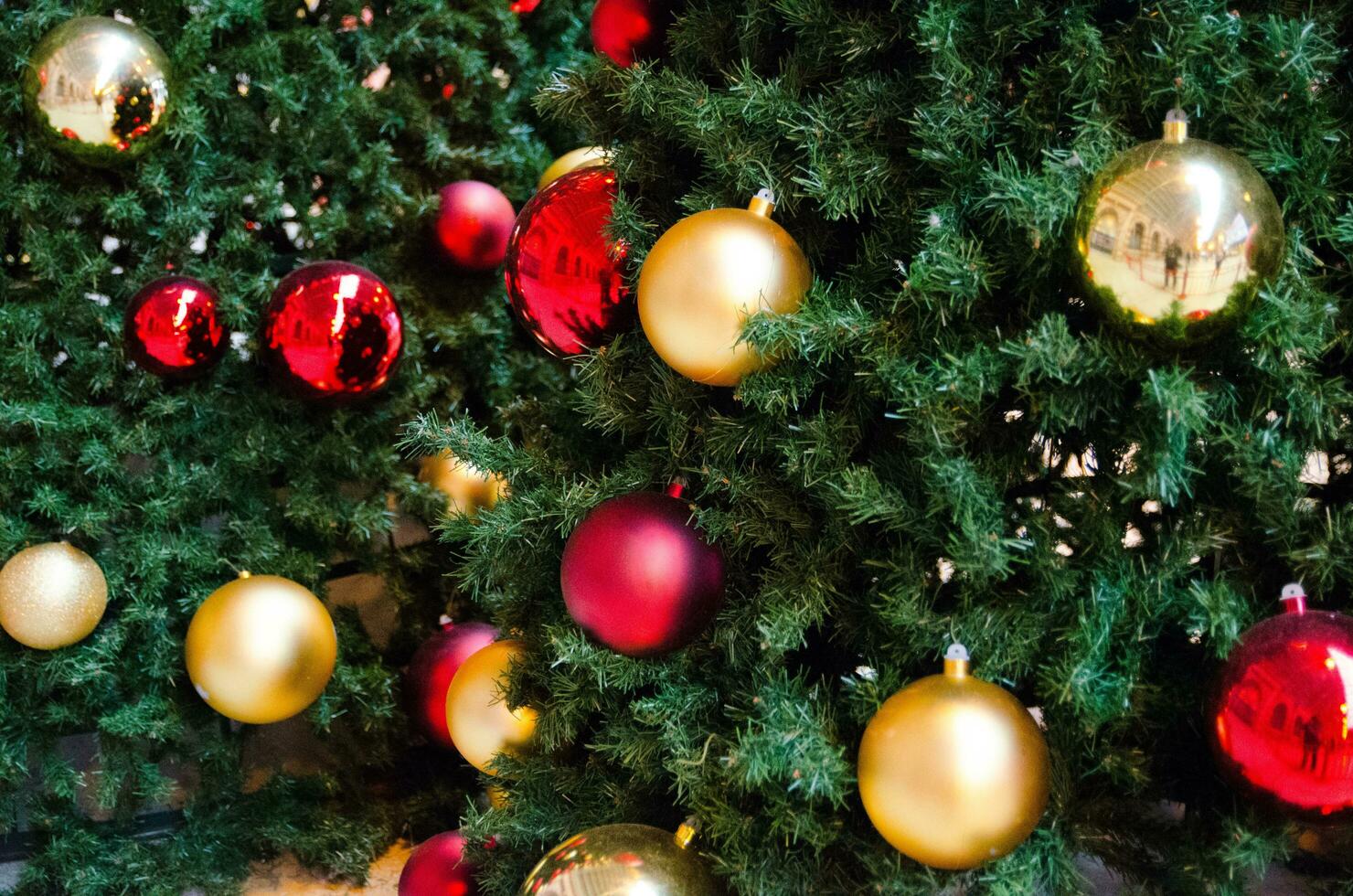 Golden and Red balls decorated on Christmas tree, decorated tree, usually an evergreen conifer. photo