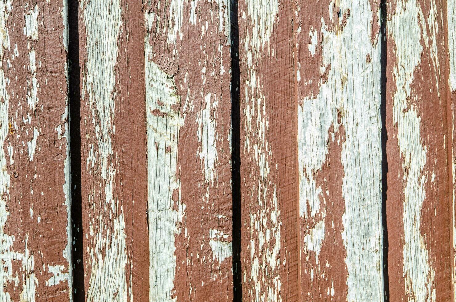Peeling old red paint on timber wall background, elegant way of creating an eye-catching feature wall in one or multiple living areas. photo