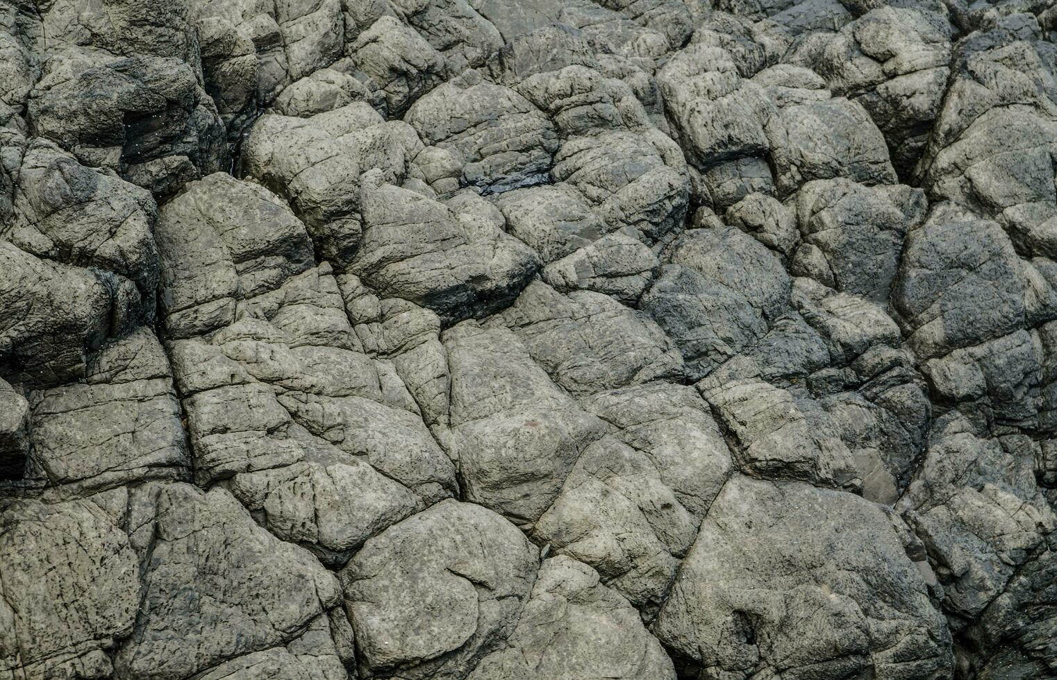 Grey coastal rock wall, Sedimentary rocks formed by the accumulation or deposition of mineral or organic particles at Earth's surface pattern. photo