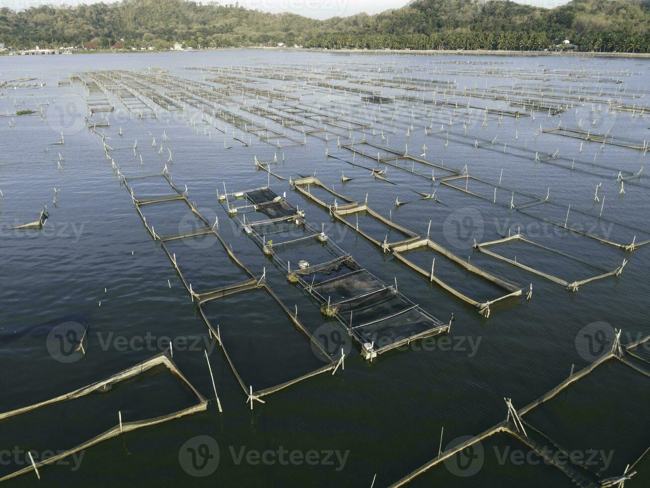 Aerial drone view of Rowo Jombro Lake with a lot of fish pond in Klaten, Indonesia photo