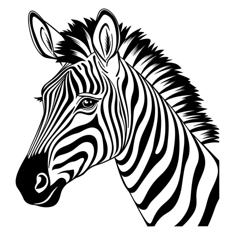 Cute zebra head vector