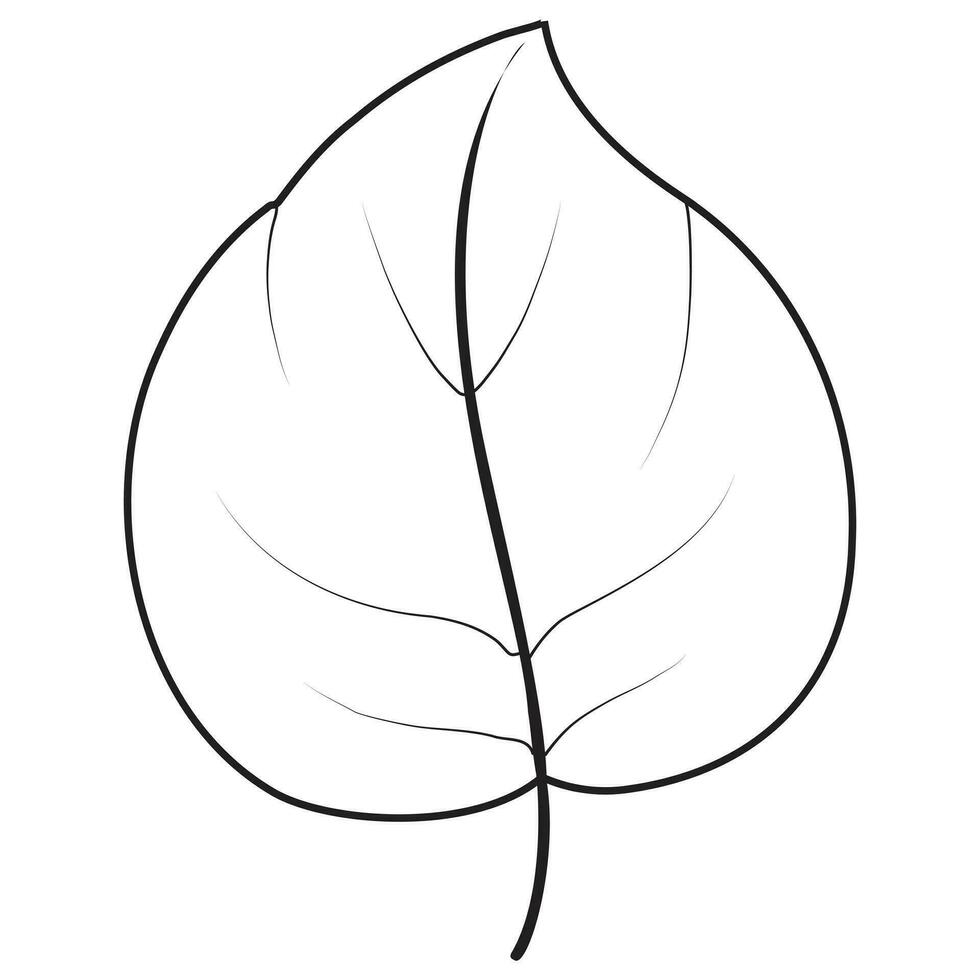 Leaf Outline Art vector