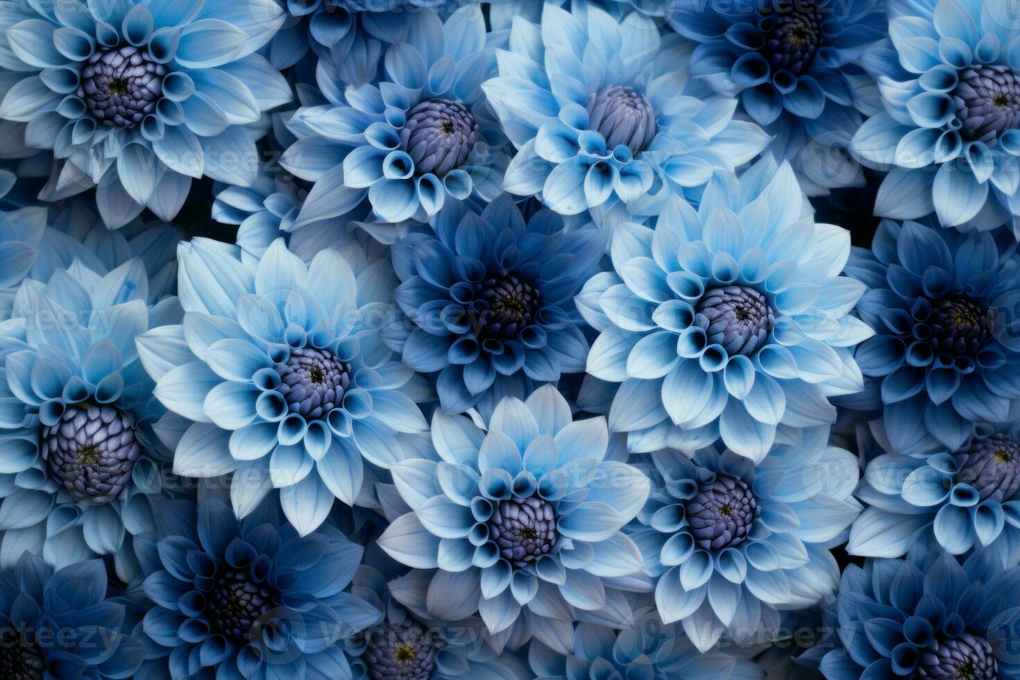 Vibrant Blue dahlias. Generate Ai photo