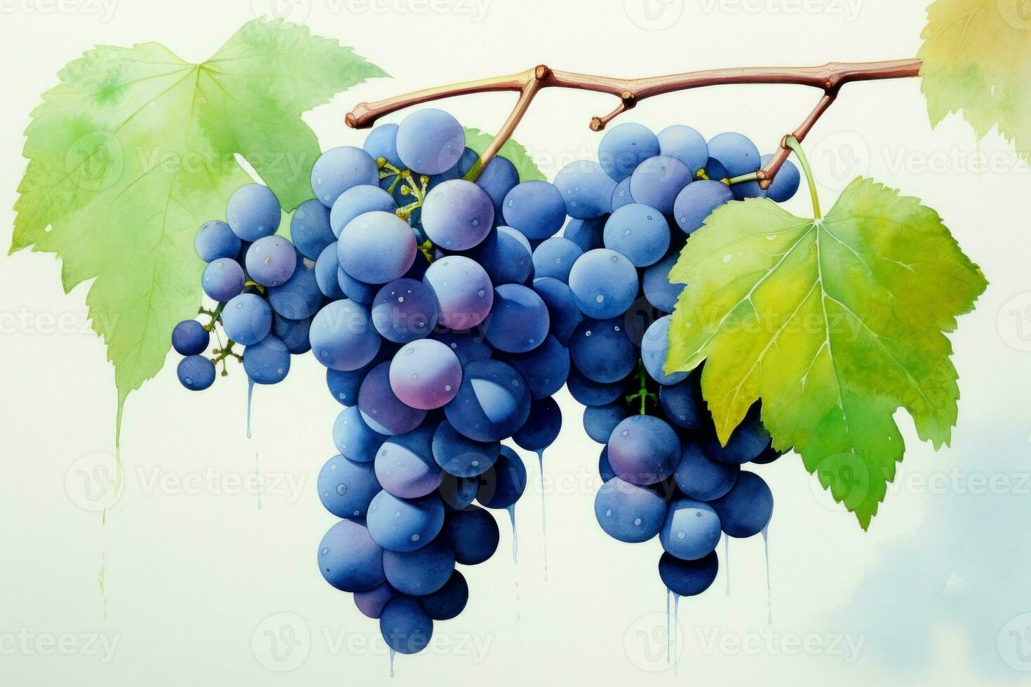 Fluid Blue grape watercolor. Generate Ai photo