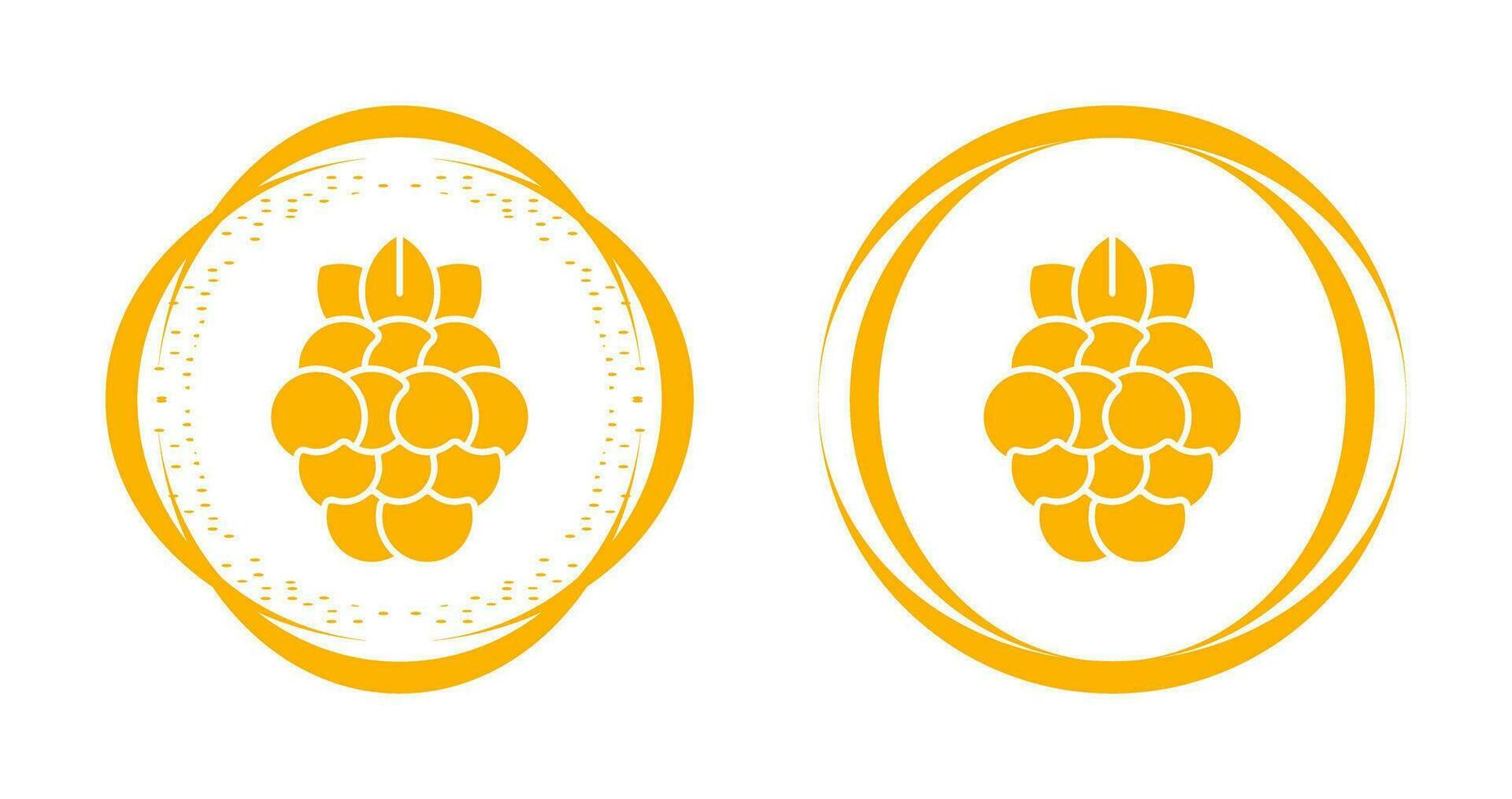 Raspberry Vector Icon