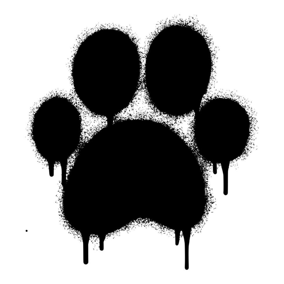 Spray Painted Graffiti Paw Print icon Sprayed isolated with a white background. graffiti paw icon with over spray in black over white. vector