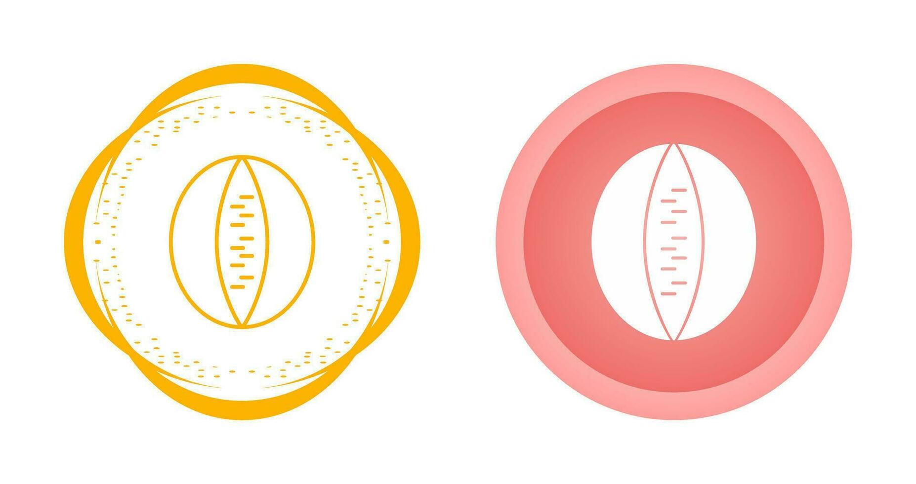 Rockmelon Vector Icon