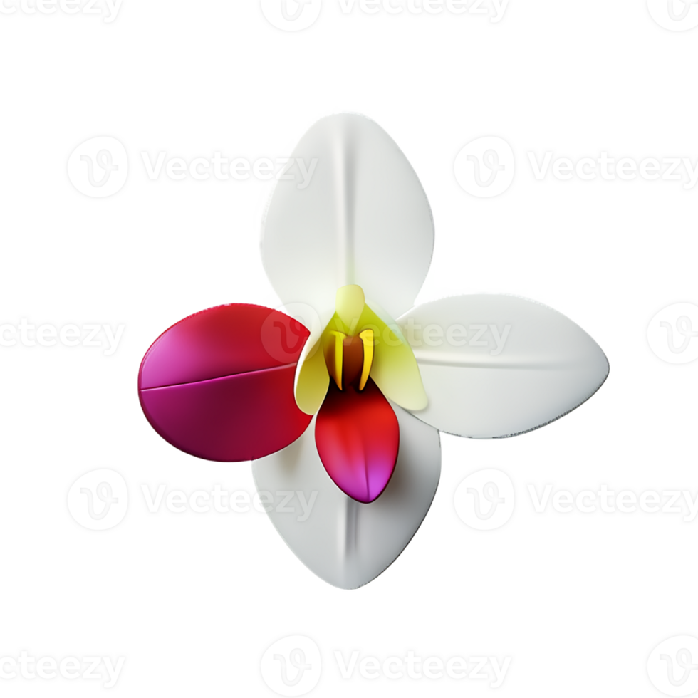 orchid 3d rendering icon illustration png