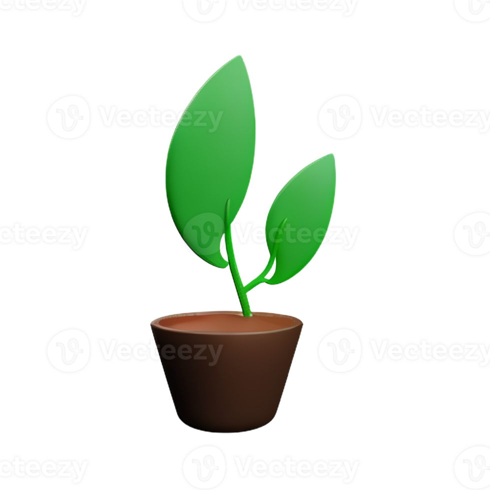botanical 3d rendering icon illustration png
