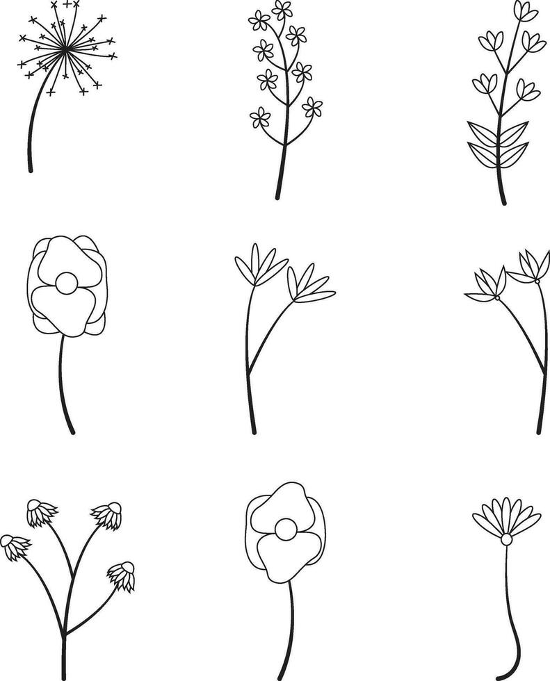 Botanical Line Art Pattern. Vector Illustration Set