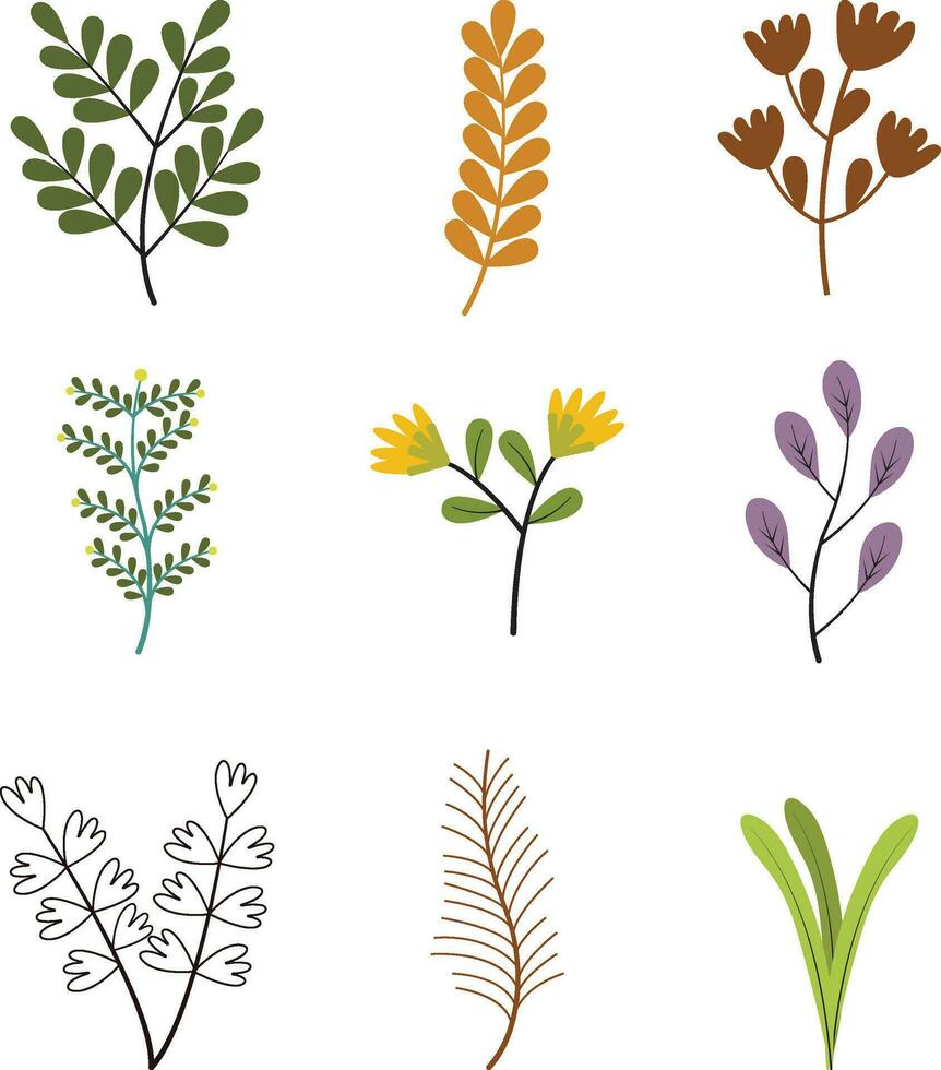 Botanical Flat Illustration. Vector Element Set