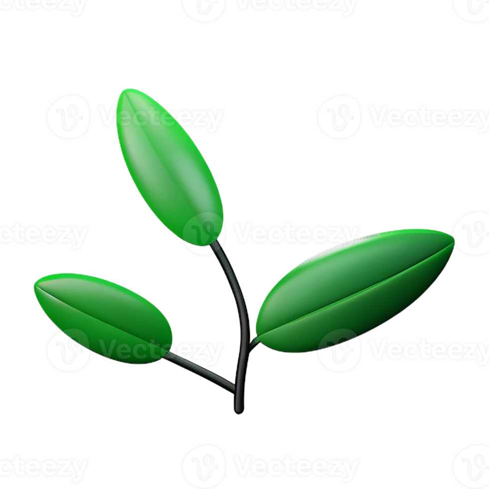 eucalyptus leaves 3d rendering icon illustration png