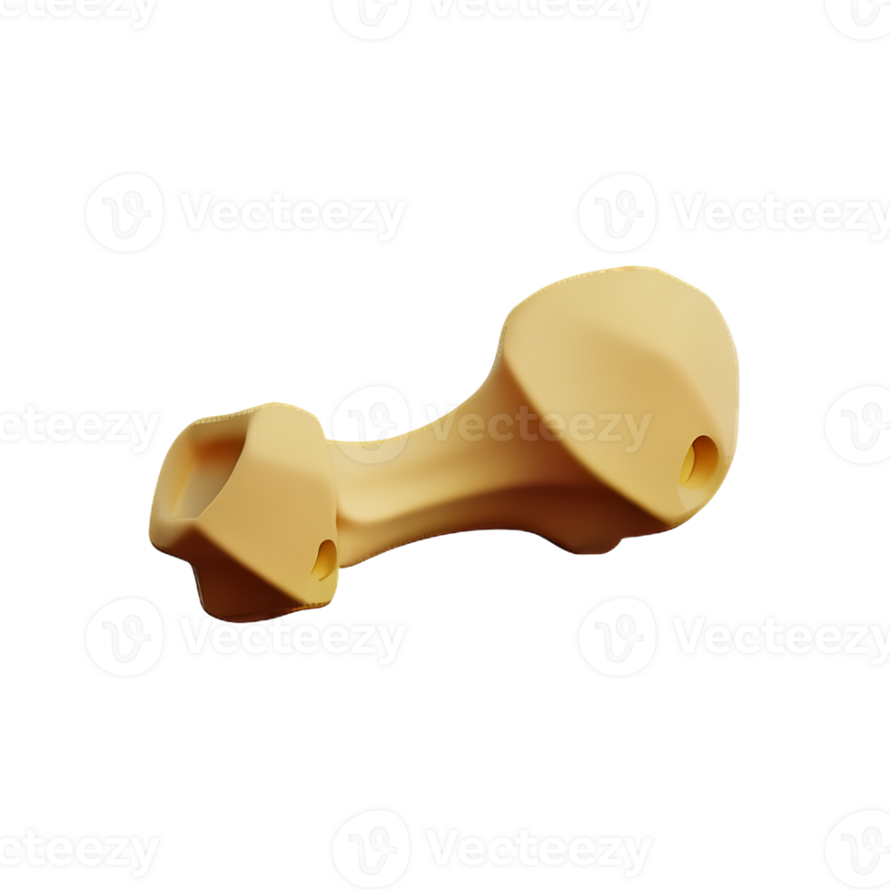 bone 3d rendering icon illustration png