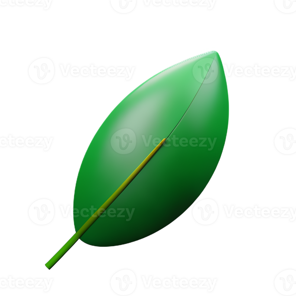 eucalyptus leaves 3d rendering icon illustration png