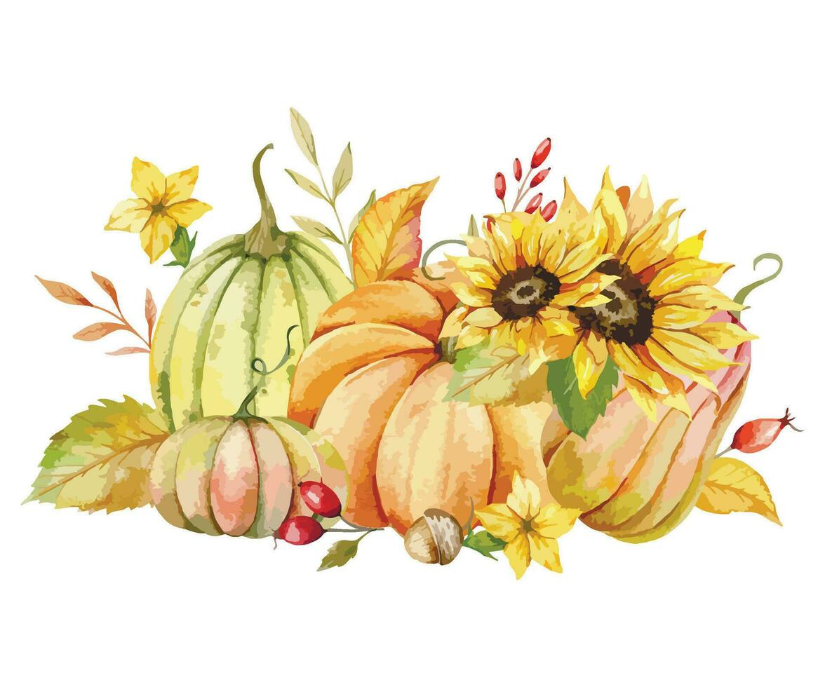 Autumn Thanksgiving Watercolor Pumpkins with leaves and harvest on white background. Fall floral arrangement with Pumpkins, Berries and Leaves vector