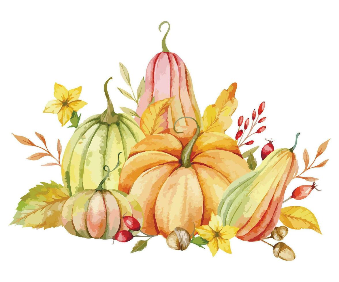 Autumn Thanksgiving Watercolor Pumpkins with leaves and harvest on white background. Fall floral arrangement with Pumpkins, Berries and Leaves vector