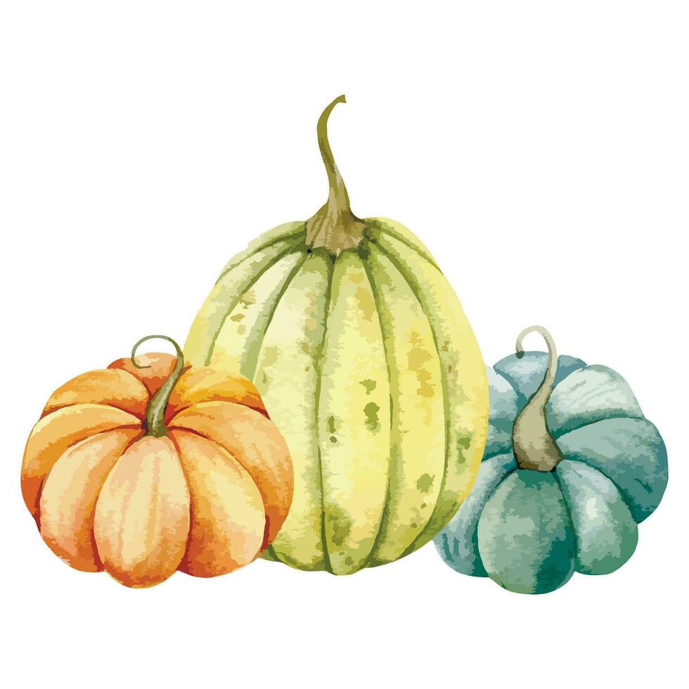 otoño acción de gracias acuarela calabazas arreglo en blanco antecedentes. vistoso calabazas acuarela ilustración mano pintado vector