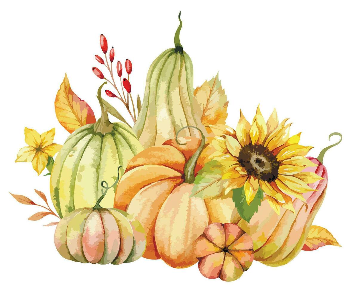 Autumn Thanksgiving Watercolor Pumpkins with leaves and harvest on white background. Fall floral arrangement with Pumpkins, Berries and Leaves vector