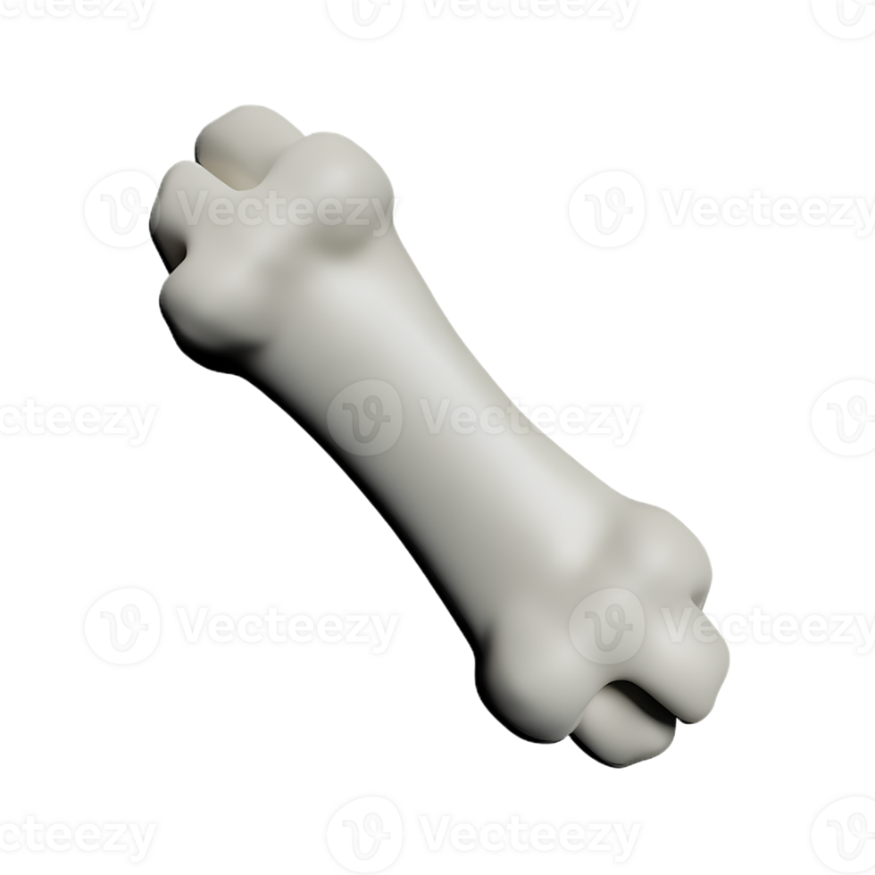 bone  3d rendering icon illustration png
