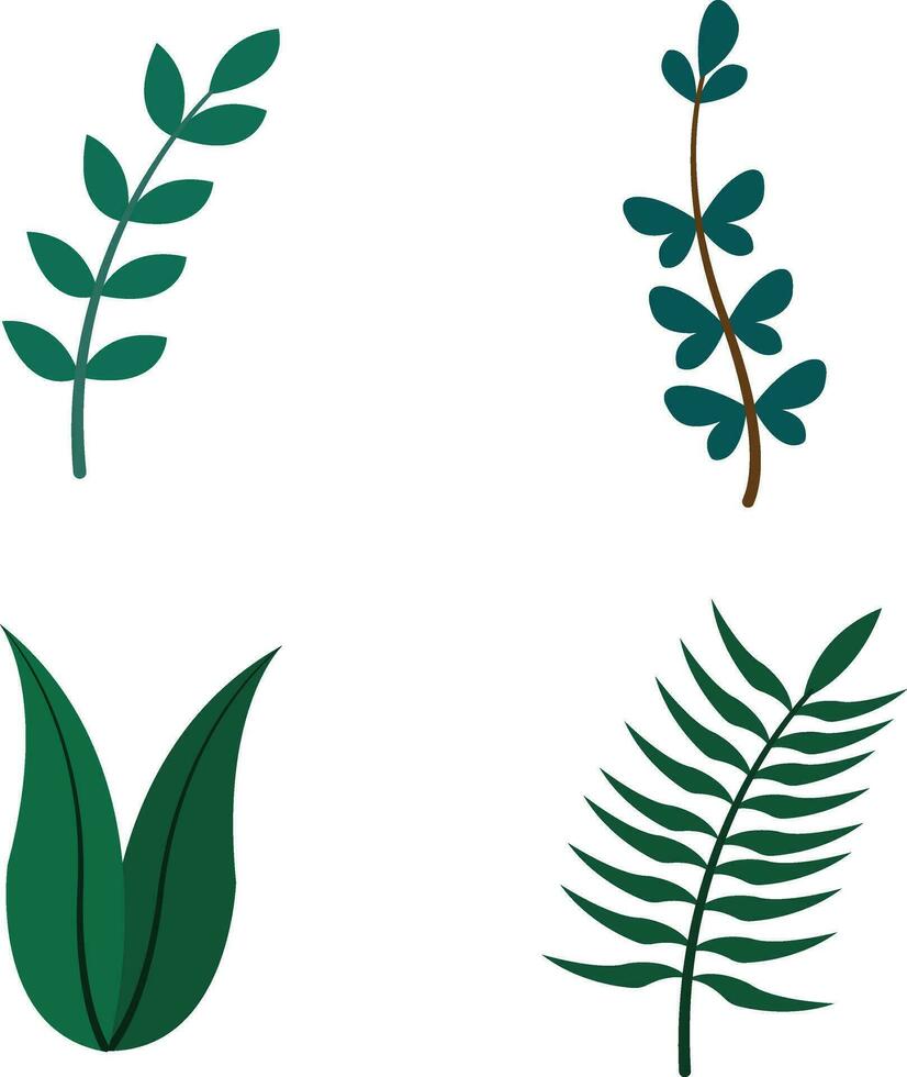 Floral Leaves Element. Vector Illustration Set.