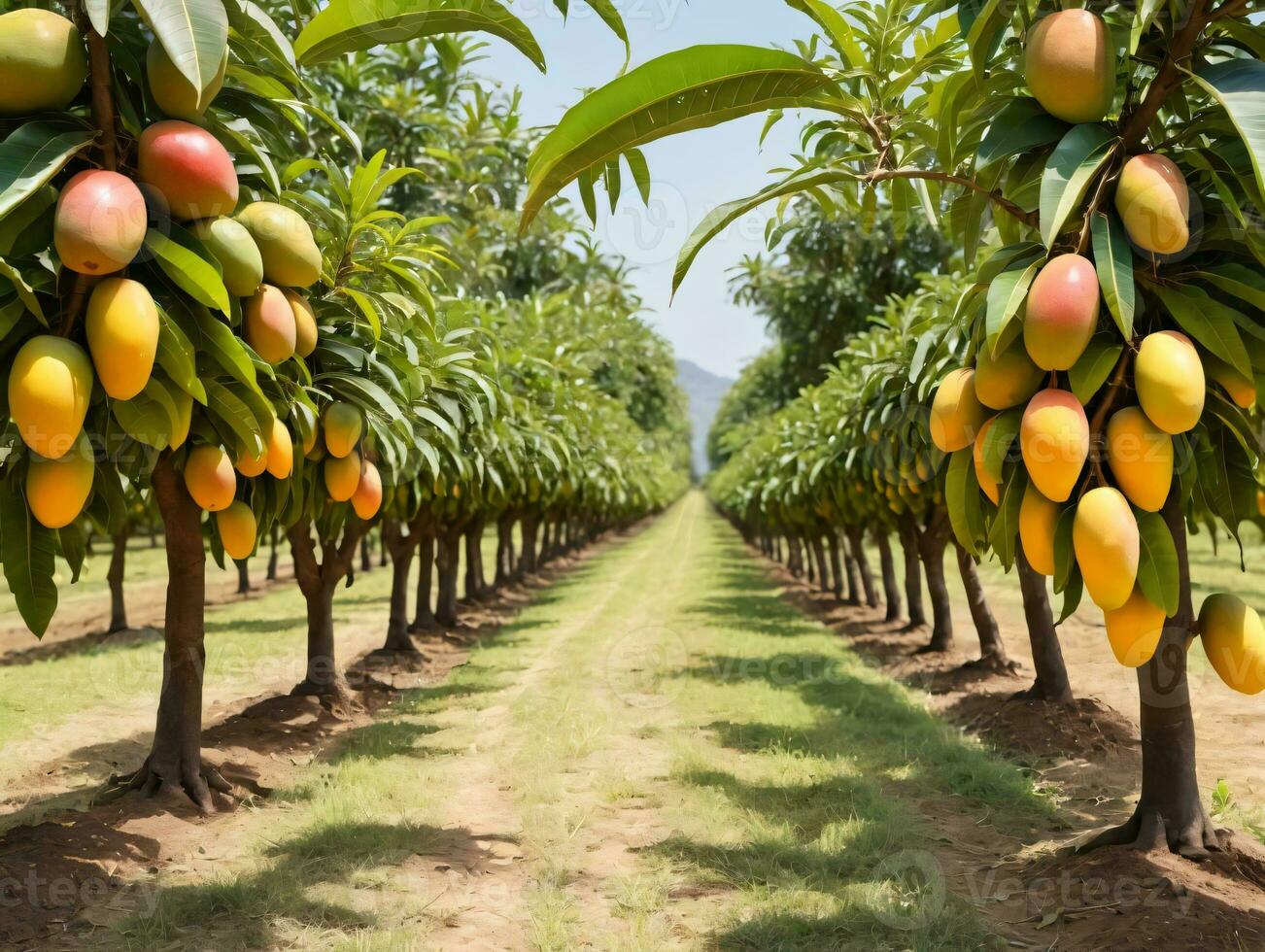 un árbol lleno con un montón de Fruta siguiente a un suciedad la carretera. ai generado foto