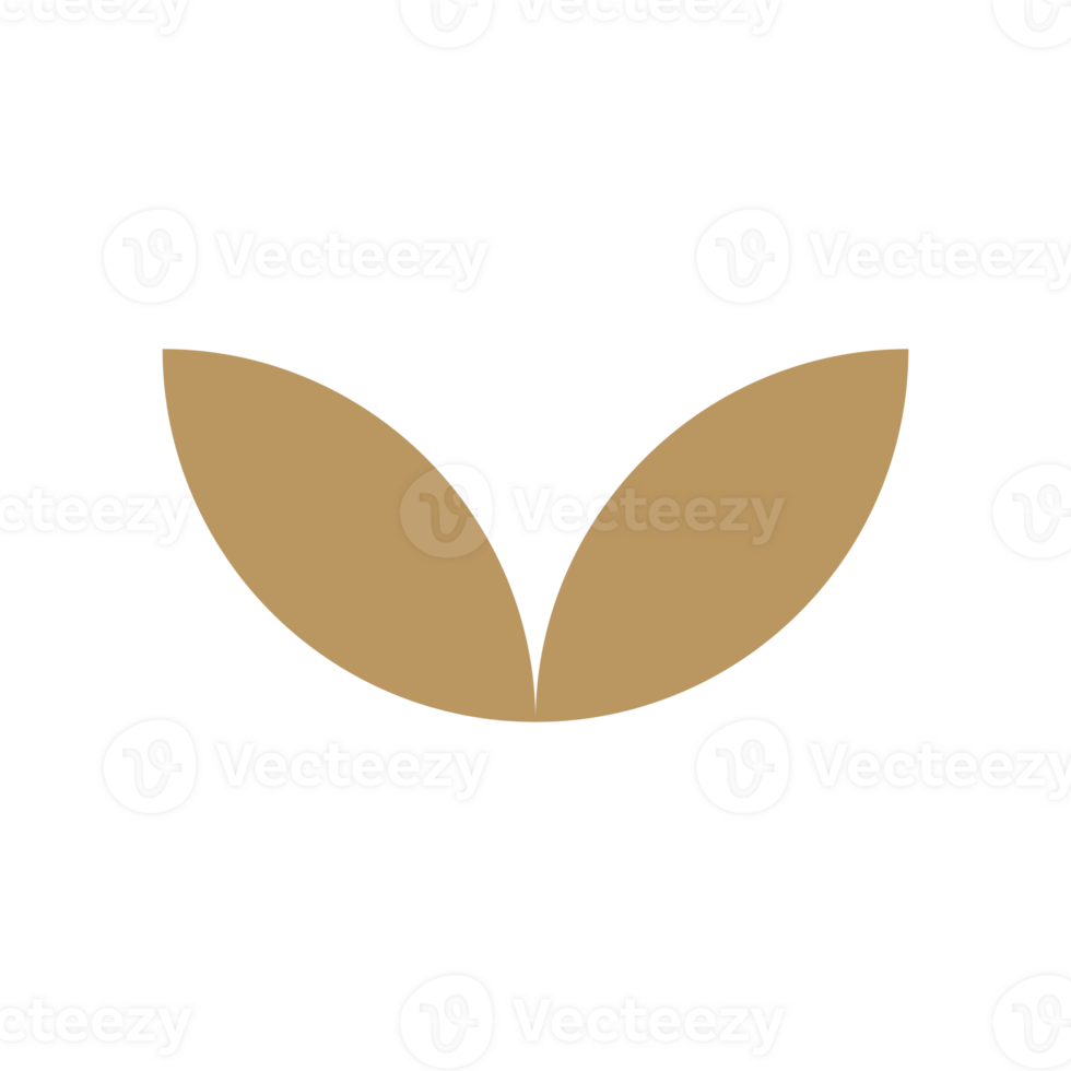 Luxury leaf shape element png