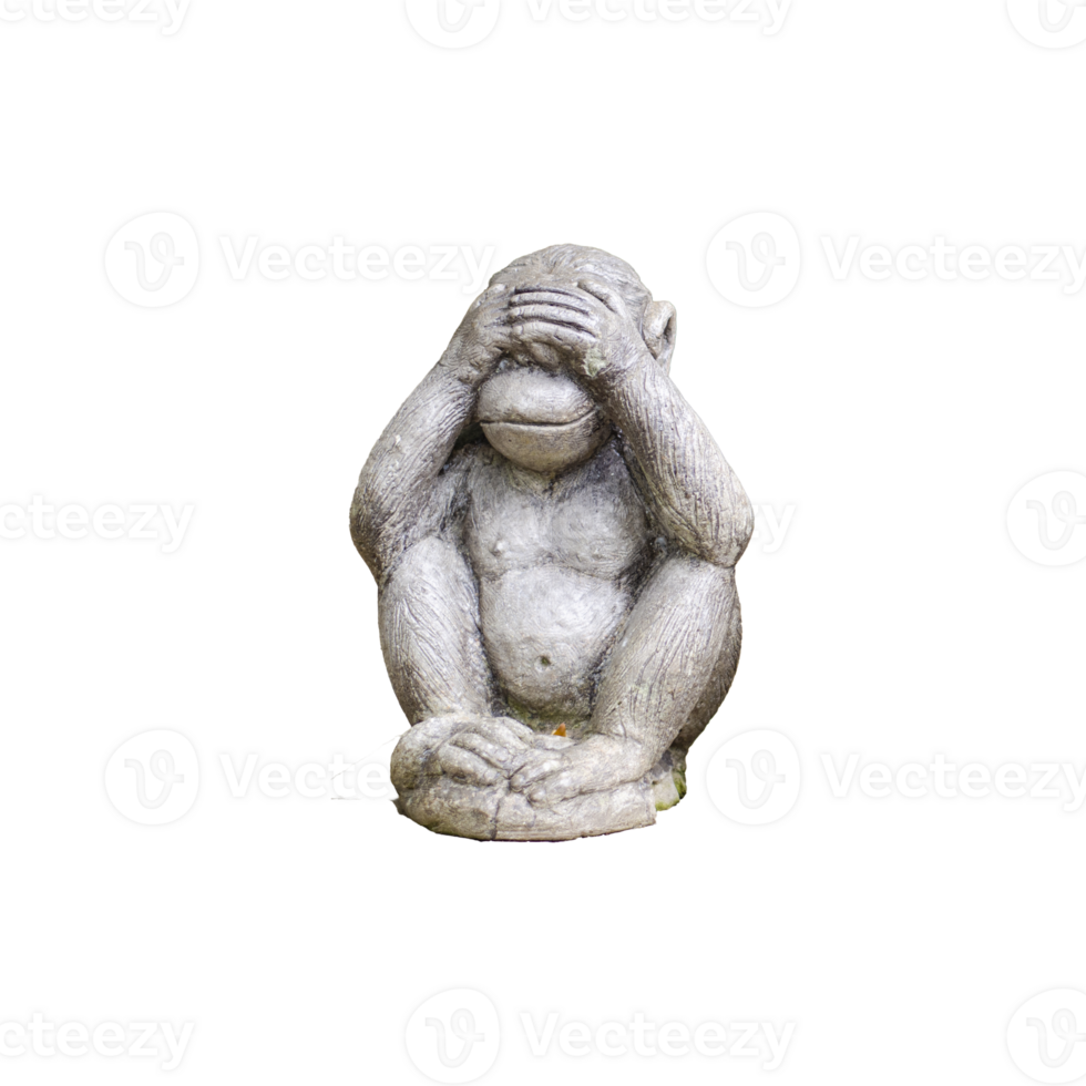 singe petit statues avec le concept de proche votre yeux ou voir non mal. sur transparent Contexte png