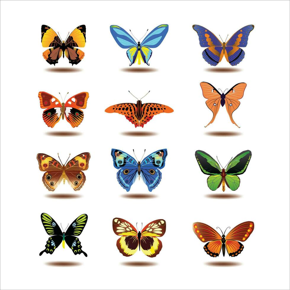 Large collection of colorful butterflies. Collection of colorful butterflies. Vector illustration.