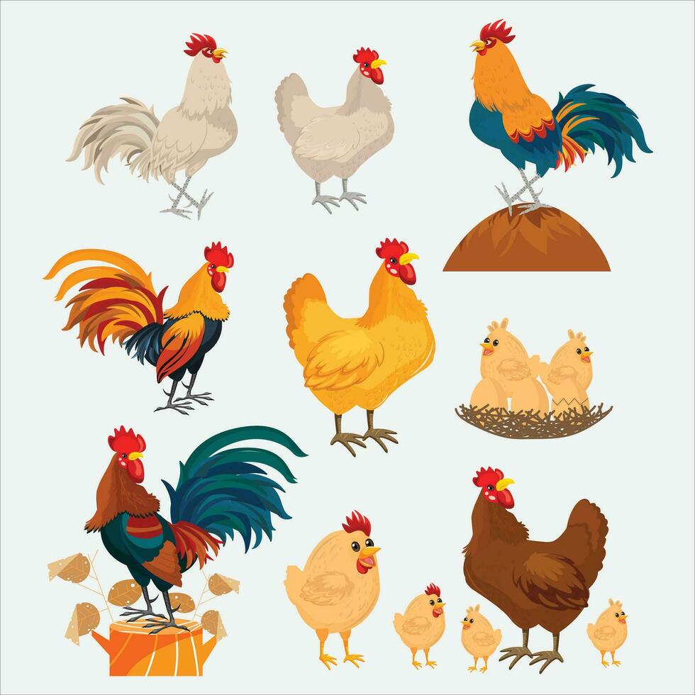 pollo y gallo. linda aves de corral granja personaje, dibujos animados polluelo con bebé pollo aislado. pollo vector ilustración en blanco antecedentes