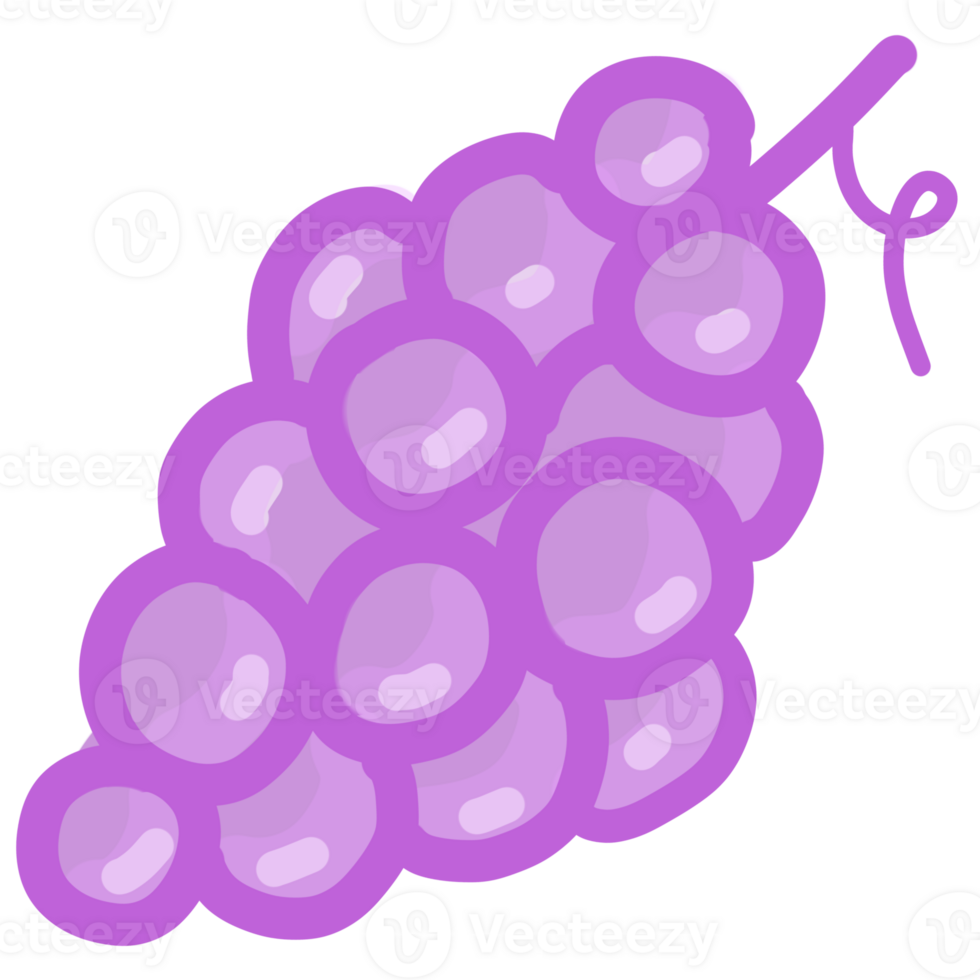 water color of grape png