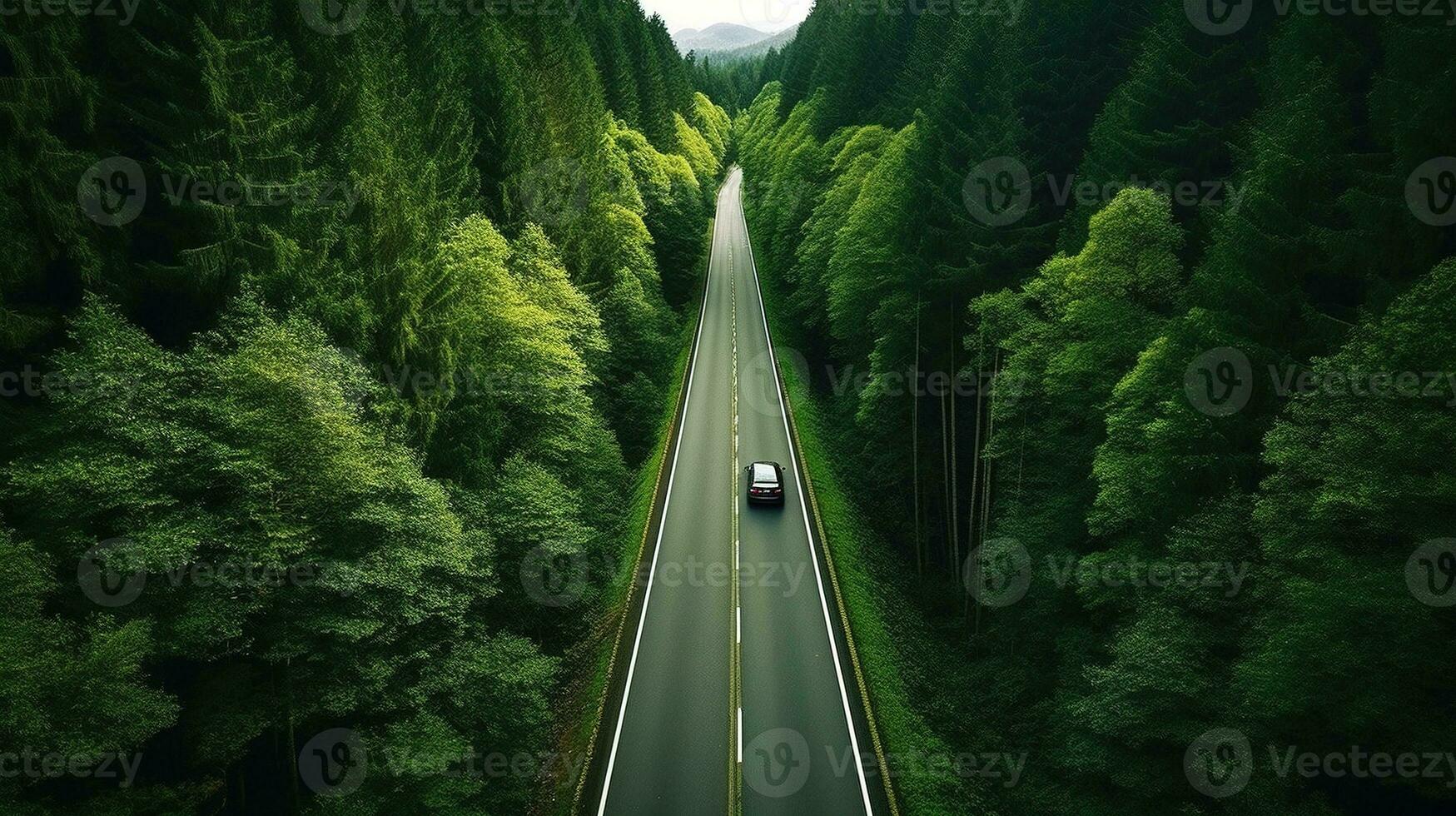Generative AI, Aerial view of road between green forest, green landscape photo